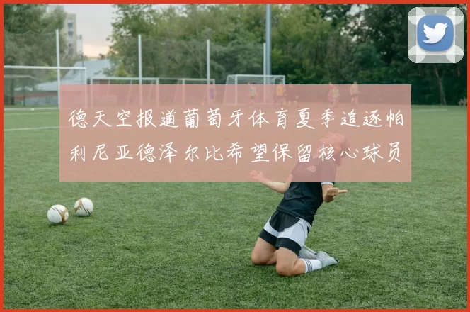 德天空报道葡萄牙体育夏季追逐帕利尼亚德泽尔比希望保留核心球员