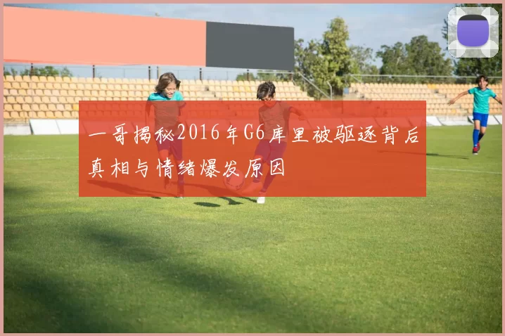 一哥揭秘2016年G6库里被驱逐背后真相与情绪爆发原因