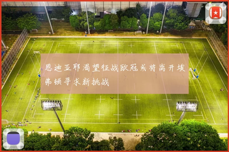 恩迪亚耶渴望征战欧冠或将离开埃弗顿寻求新挑战