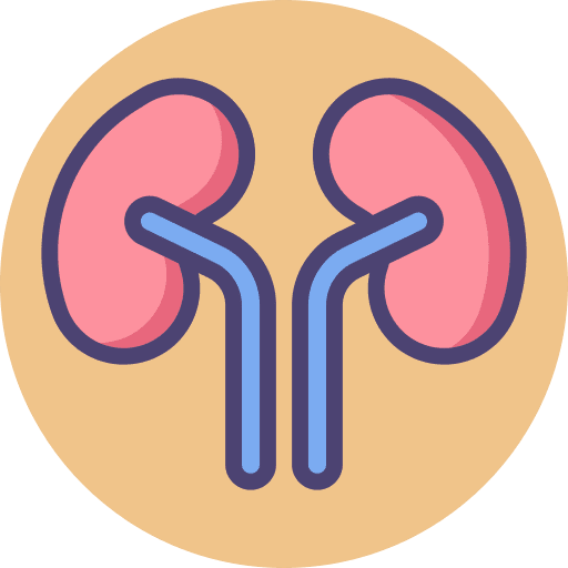 Kidney Wellcare & Nutrition Counseling